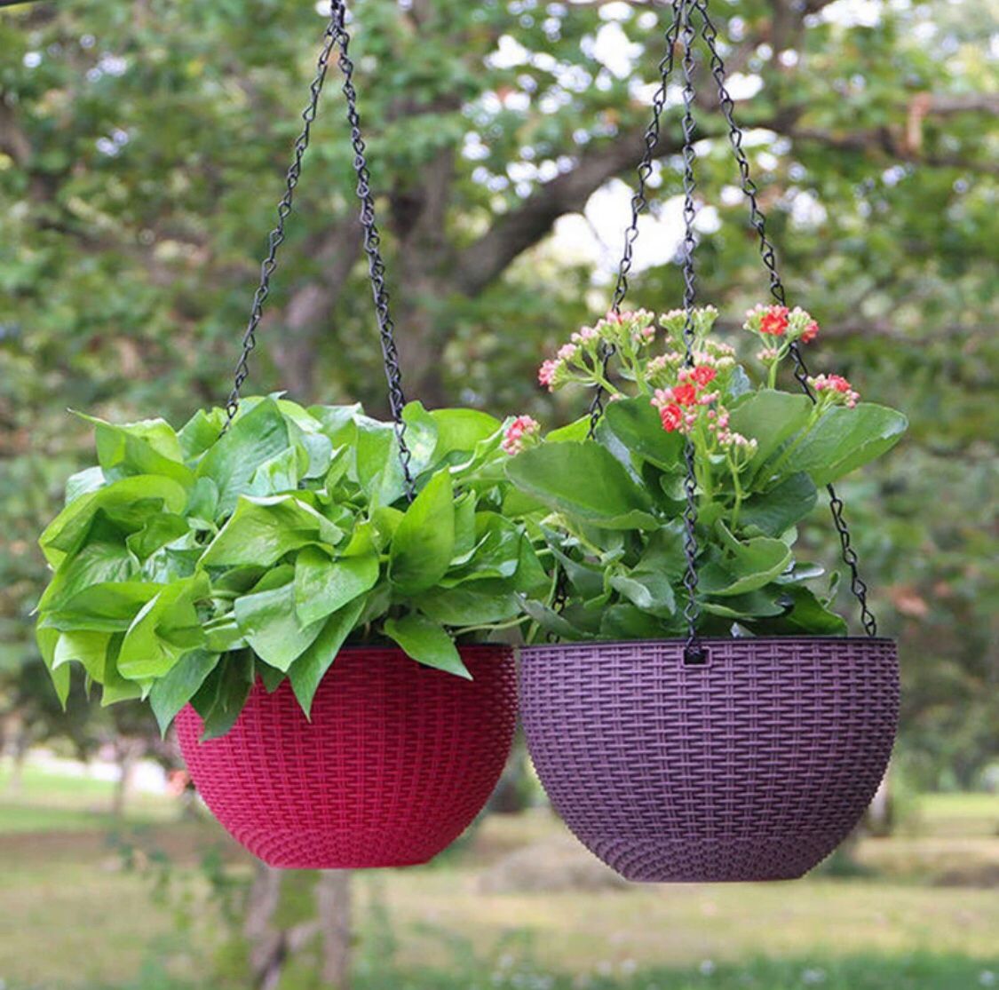 Metal Chain Hanging Baskets ( Pack of 4 )